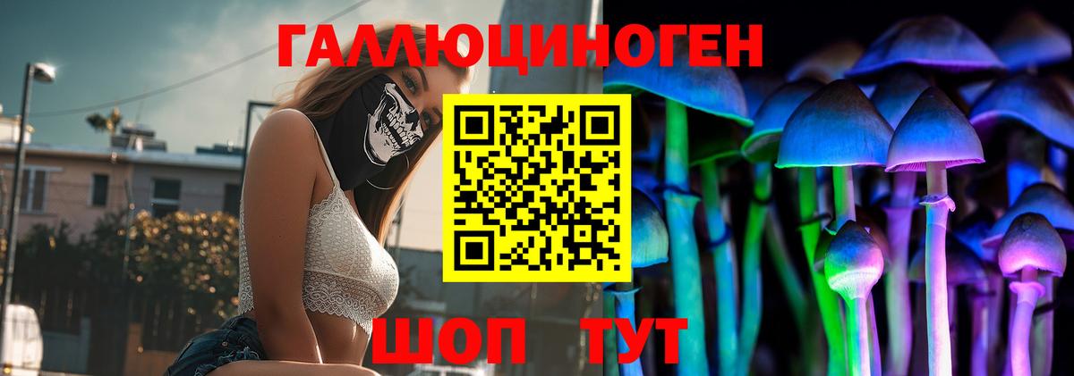 Владимир  Галлюциногенные грибы Cubensis  Вход с VPN 